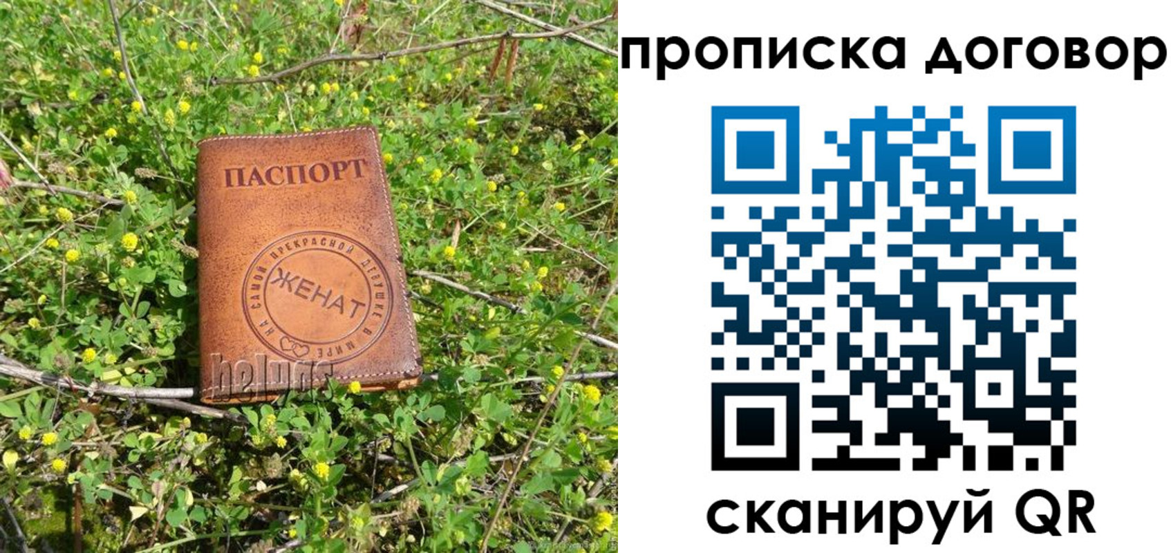 прописка регистрация в Шелехове